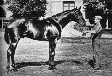 Weathercock, a derbigyztes, 1896